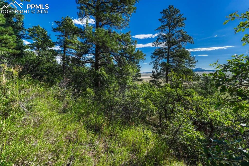 0 Columbine Road Palmer Lake, CO 80133 - Photo 18 of 37 a view of a house
