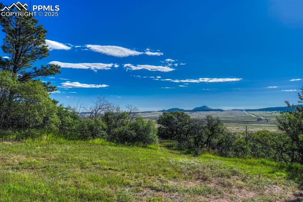 0 Columbine Road Palmer Lake, CO 80133 - Photo 19 of 37 a view of an outdoor space and yard