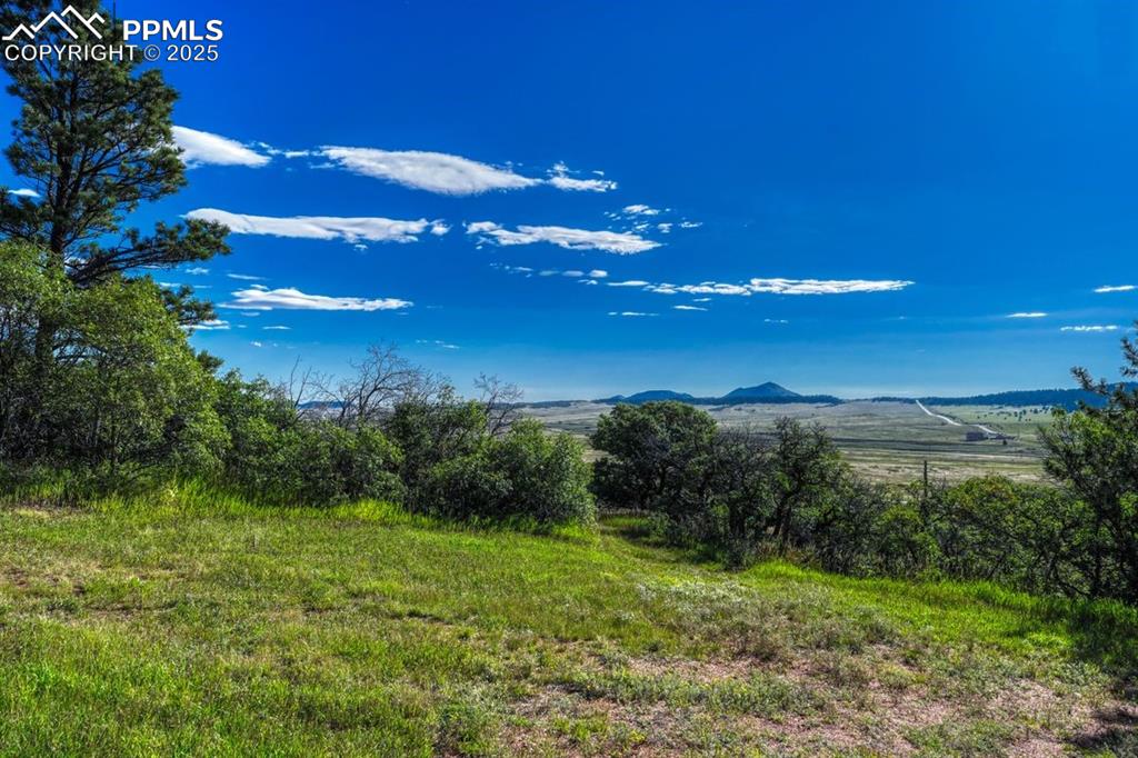 0 Columbine Road Palmer Lake, CO 80133 - Photo 20 of 37 a view of a big yard with swimming pool and green space