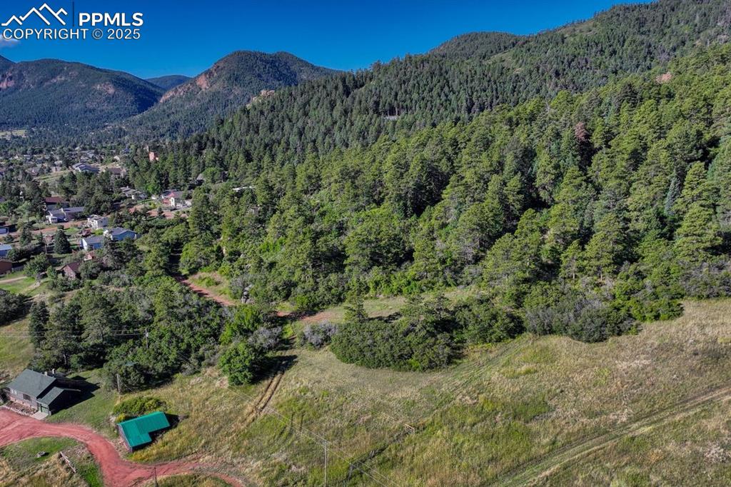 0 Columbine Road Palmer Lake, CO 80133 - Photo 22 of 37 a view of a field with a tree