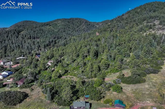 a view of a lush green forest with lots of trees