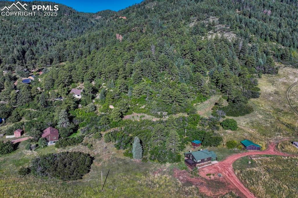 0 Columbine Road Palmer Lake, CO 80133 - Photo 25 of 37 a view of a lush green forest with lots of trees