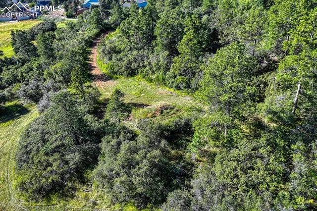 an aerial view of residential house with outdoor space and trees all around
