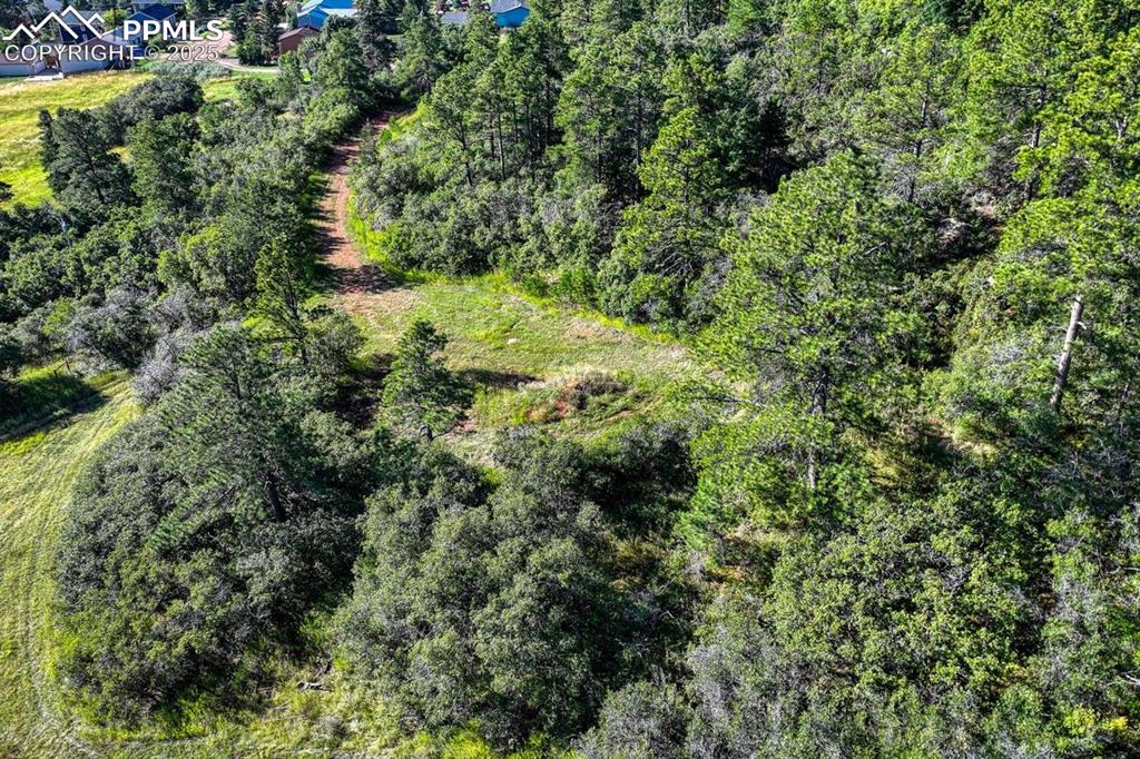 0 Columbine Road Palmer Lake, CO 80133 - Photo 3 of 37 an aerial view of residential house with outdoor space and trees all around