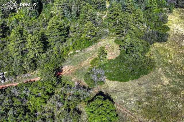 an aerial view of residential house with outdoor space and trees all around