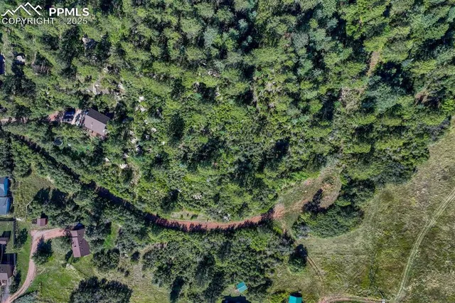 a view of a lush green forest with a houses