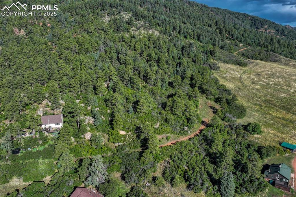 0 Columbine Road Palmer Lake, CO 80133 - Photo 33 of 37 a view of a lush green forest with a houses
