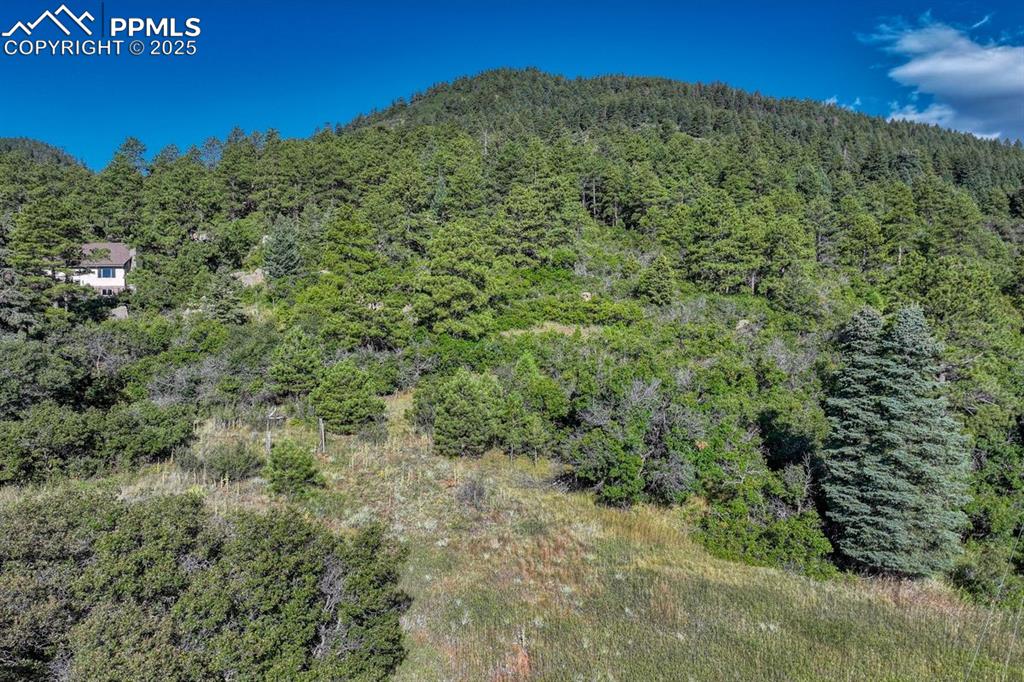 0 Columbine Road Palmer Lake, CO 80133 - Photo 35 of 37