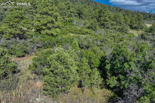 $399,000 | 0 Columbine Road, Palmer Lake, CO 80133