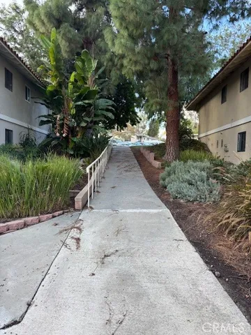 a view of a yard with plants and a large tree