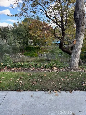 a view of a yard with plants and large trees
