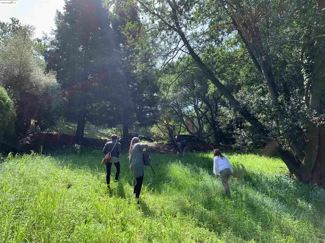 a backyard of a house with a yard and outdoor seating