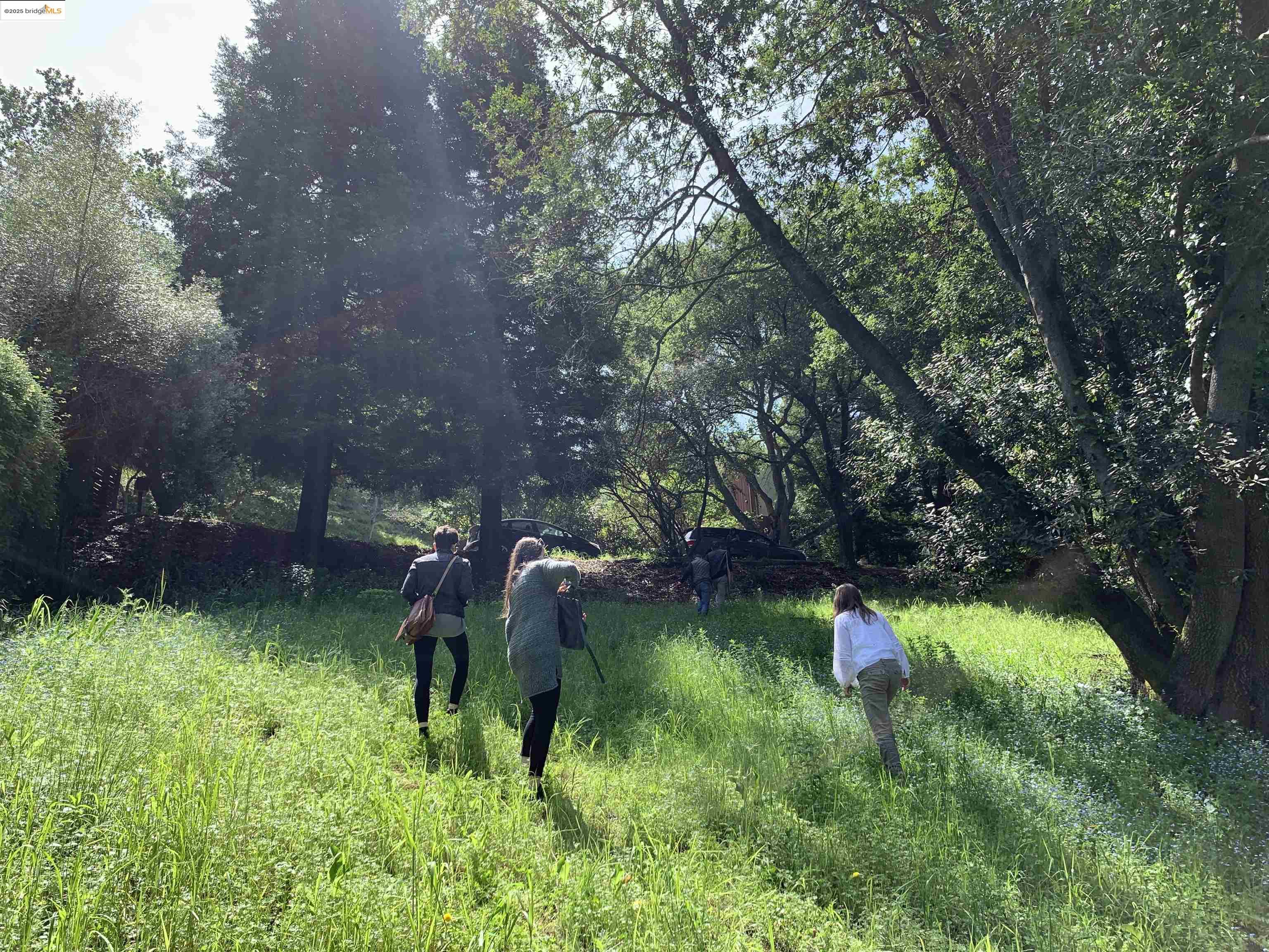 8018 Alvarado Road Berkeley, CA 94705 - Photo 6 of 9 a backyard of a house with a yard and outdoor seating