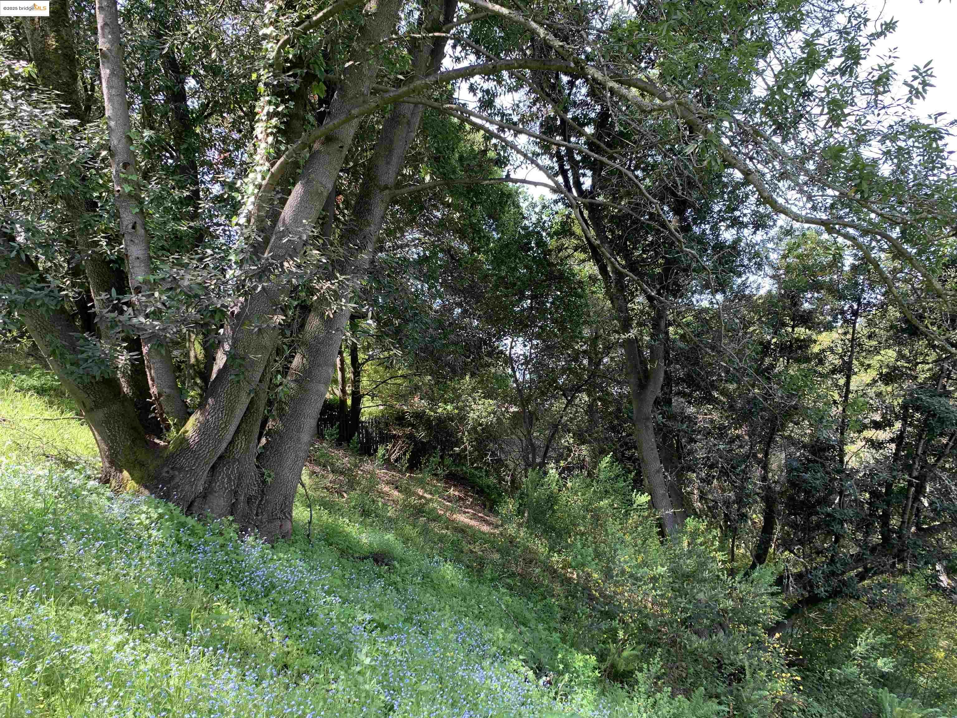 8018 Alvarado Road Berkeley, CA 94705 - Photo 8 of 9 a view of outdoor space and yard