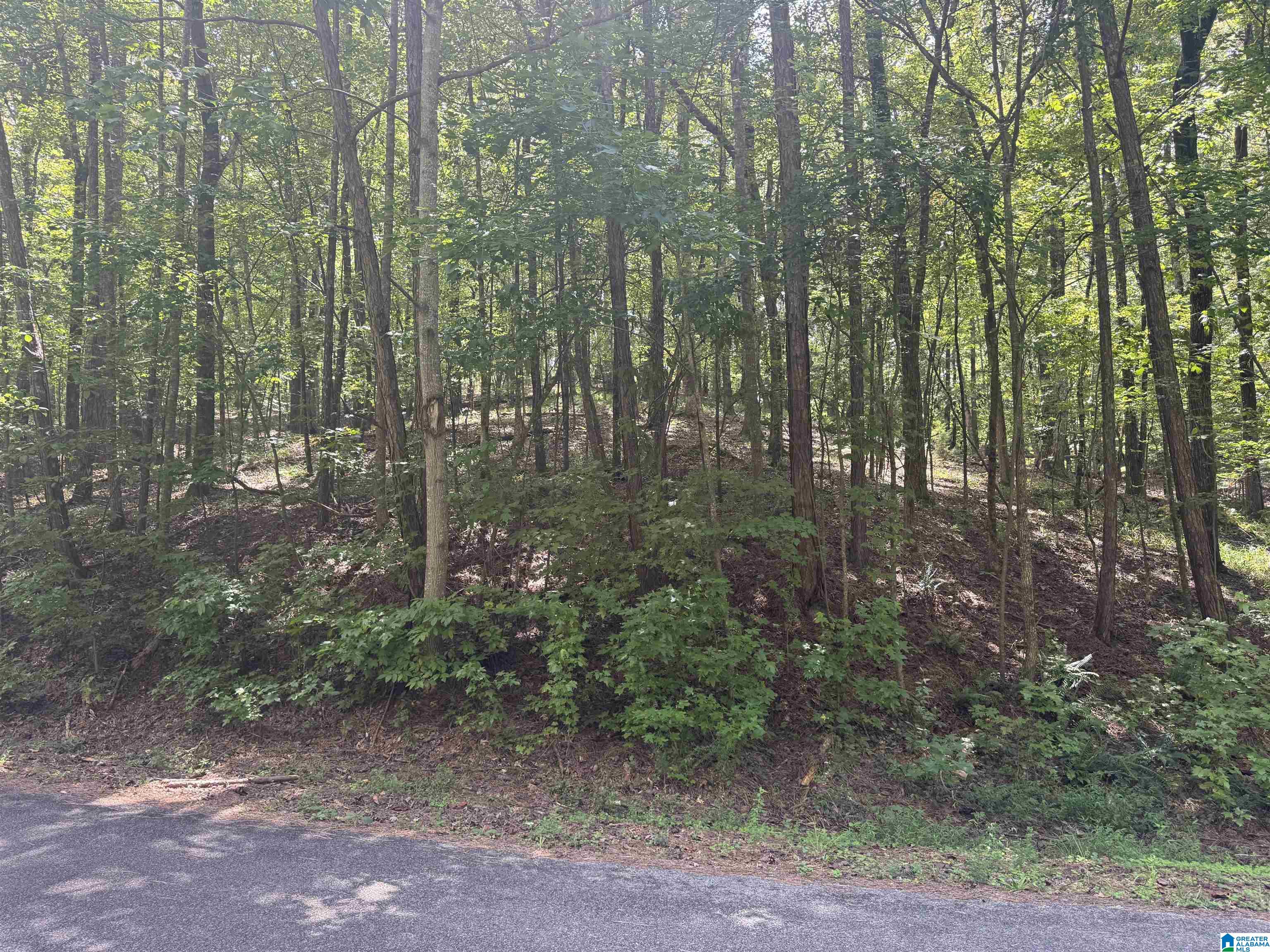 85 Mohawk Court, Unit 22 Ohatchee, AL 36271 - Photo 1 of 37