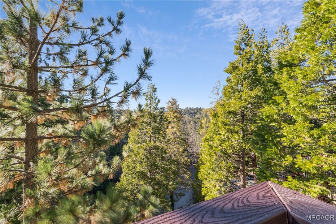 305 Summit Road Lake Arrowhead, CA 92352 - Photo 19 of 47