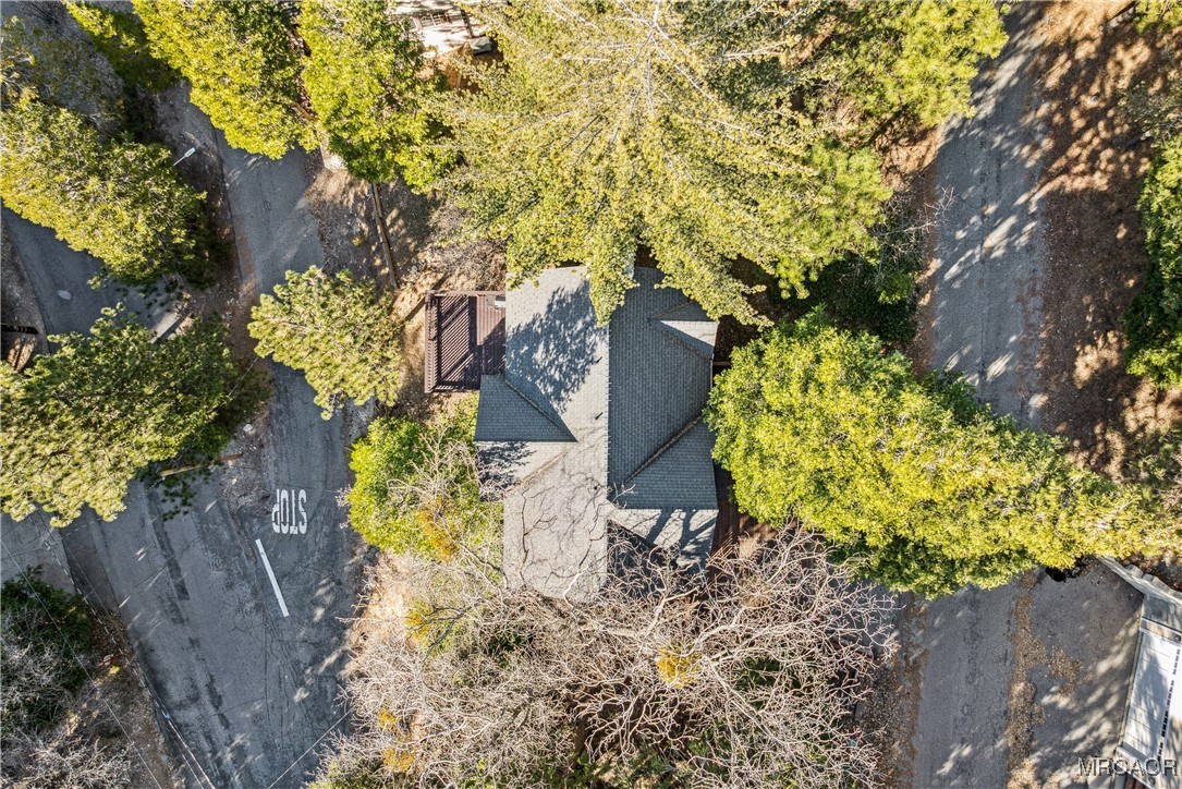 305 Summit Road Lake Arrowhead, CA 92352 - Photo 45 of 47