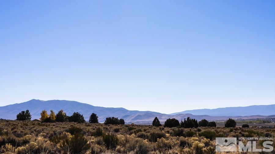 1285 Antelope Valley Road Reno, NV 89508 - Photo 6 of 9 a view of a city and mountain