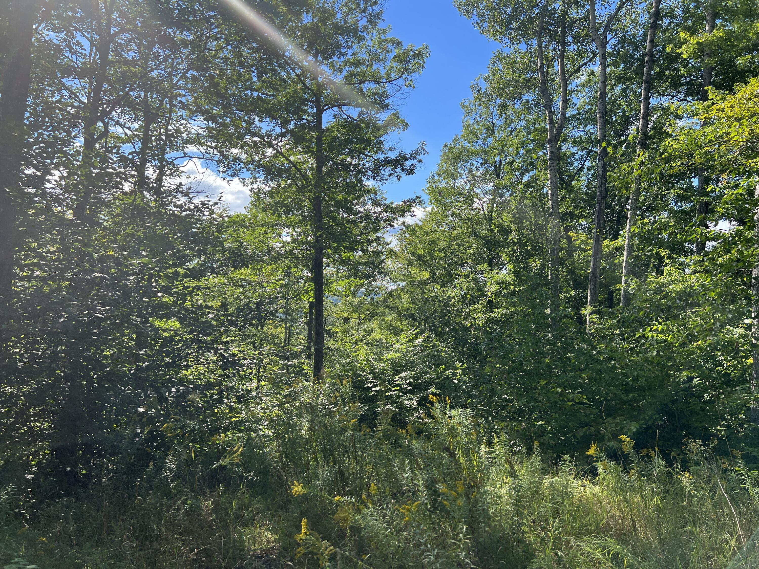 Tbd Mountainy Pond Road Dedham, ME 04429 - Photo 3 of 10 7D856397-1052-4FE3-B7E6-FF5919C3D66E