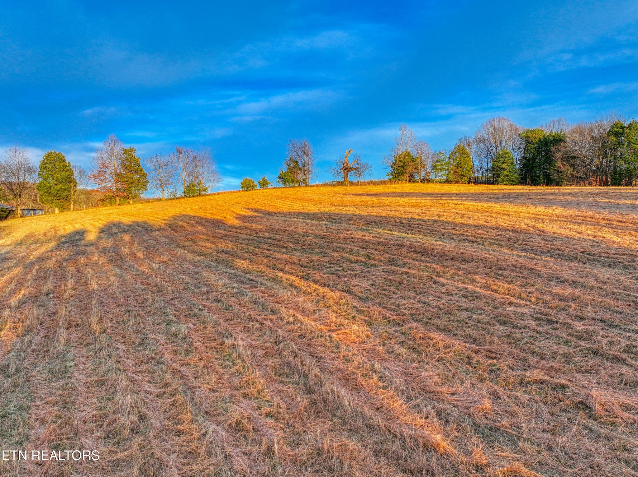 2415 Riddle Road New Market, TN 37820 - Photo 37 of 41 a view of an ocean and a yard