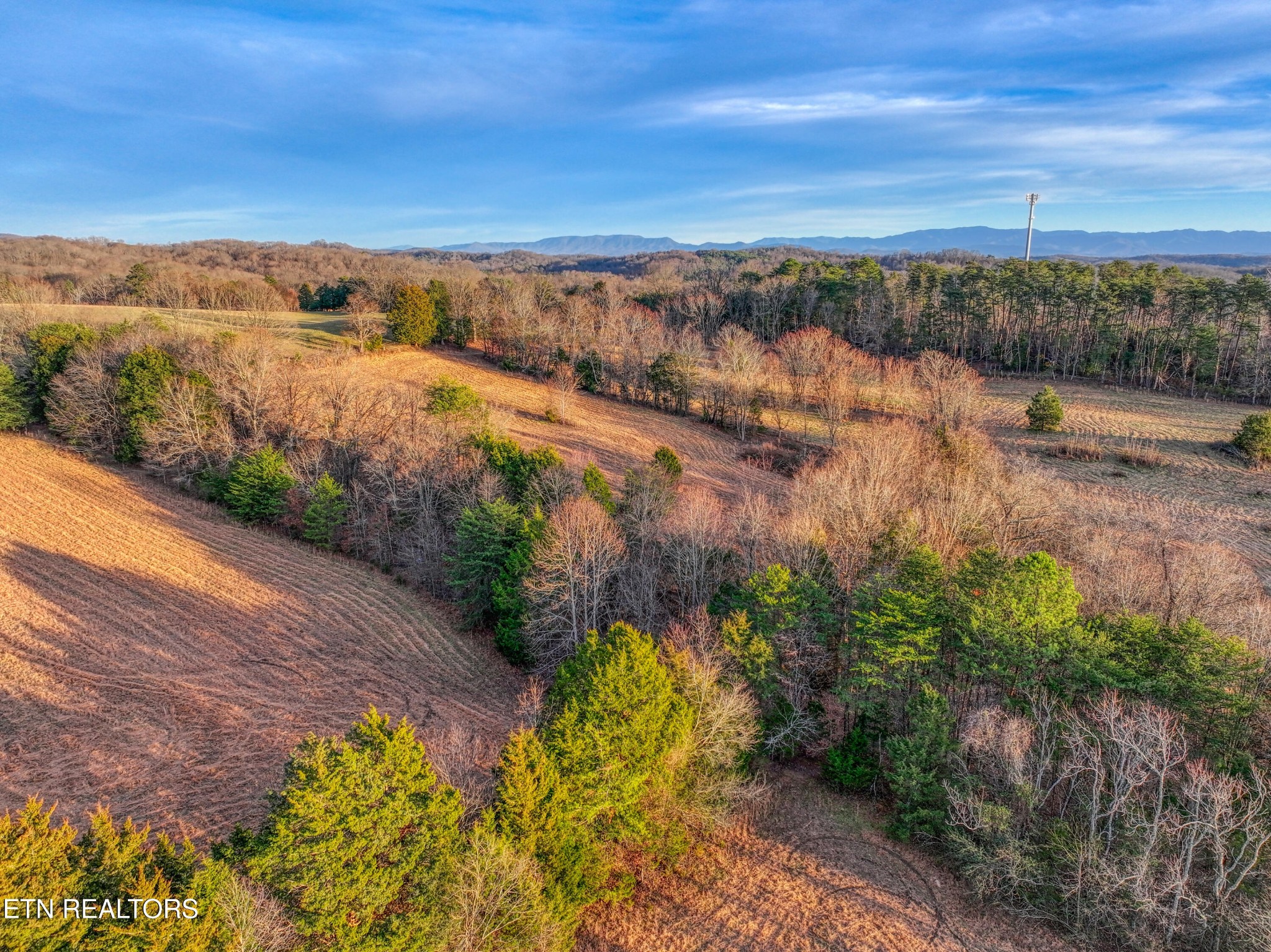 2415 Riddle Road New Market, TN 37820 - Photo 40 of 41 a view of lake with mountain