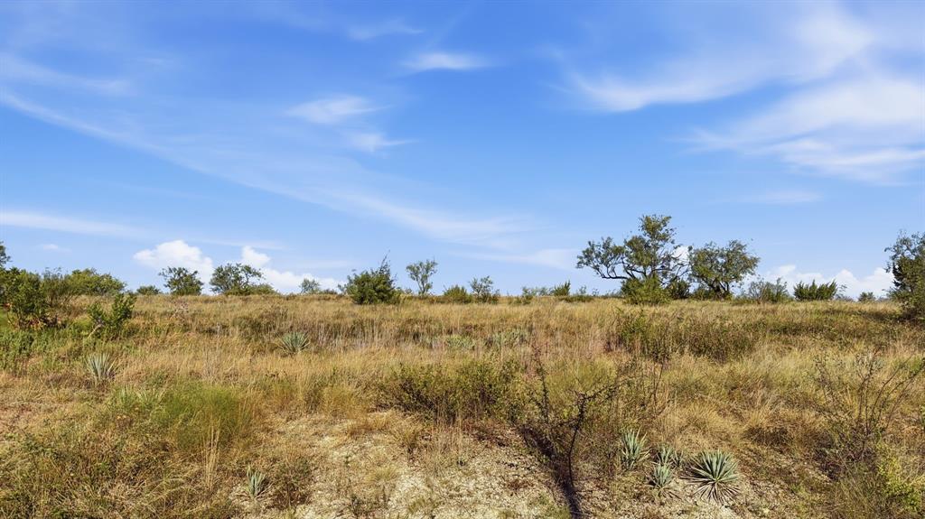 Lot 46 Twisted Creek Ranch Gustine, TX 76455 - Photo 5 of 25 Gallery Image 5