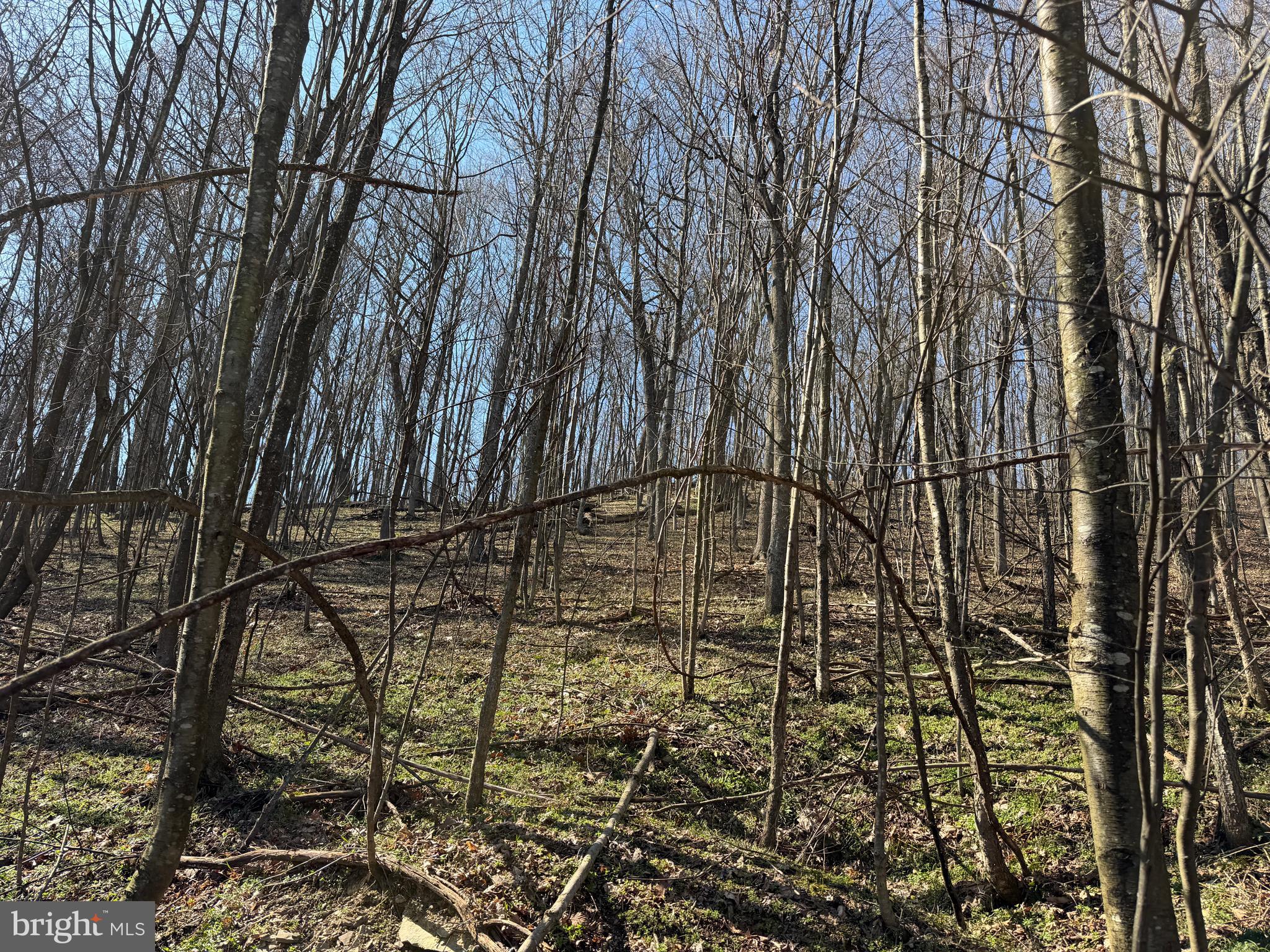 129-acres Black Hollow Road Schellsburg, PA 15559 - Photo 41 of 72