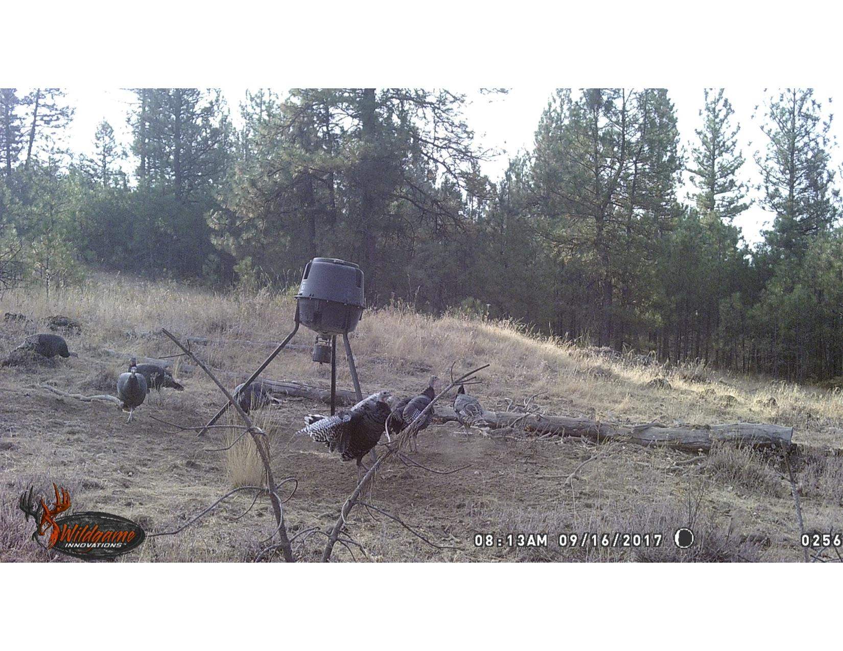 8800 North Dover Road Spokane, WA 99224 - Photo 14 of 14