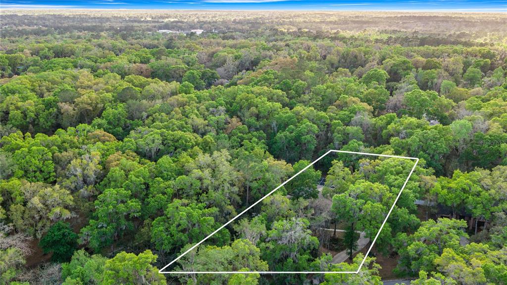 4280 Southeast 26th Terrace Road Ocala, FL 34480 - Photo 5 of 70