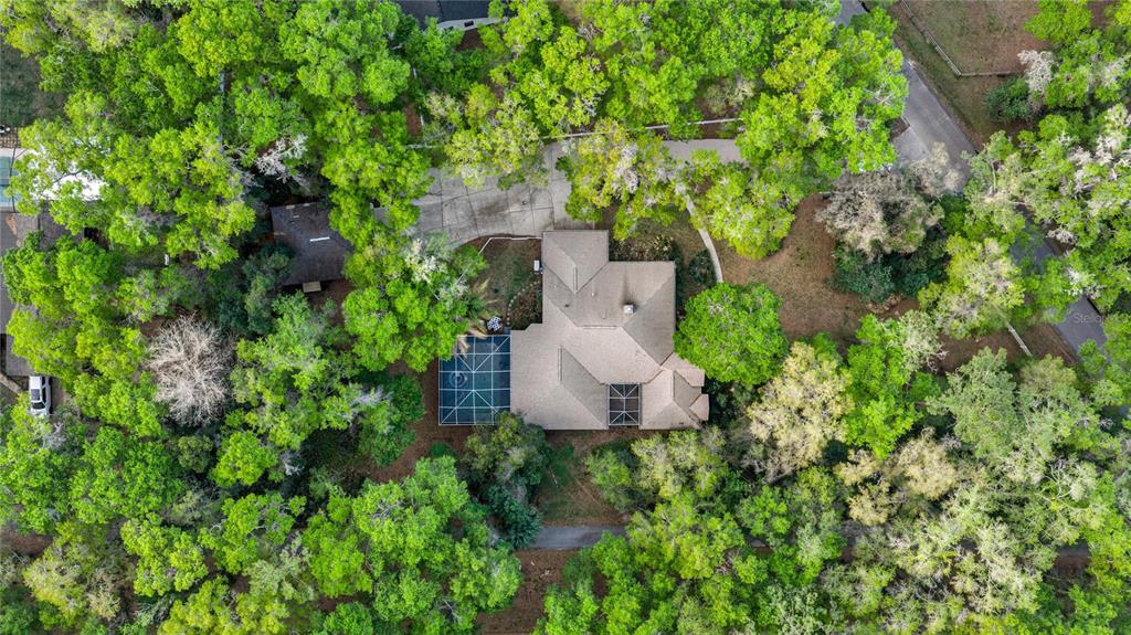 4280 Southeast 26th Terrace Road Ocala, FL 34480 - Photo 53 of 70 an aerial view of a house with a yard and large trees