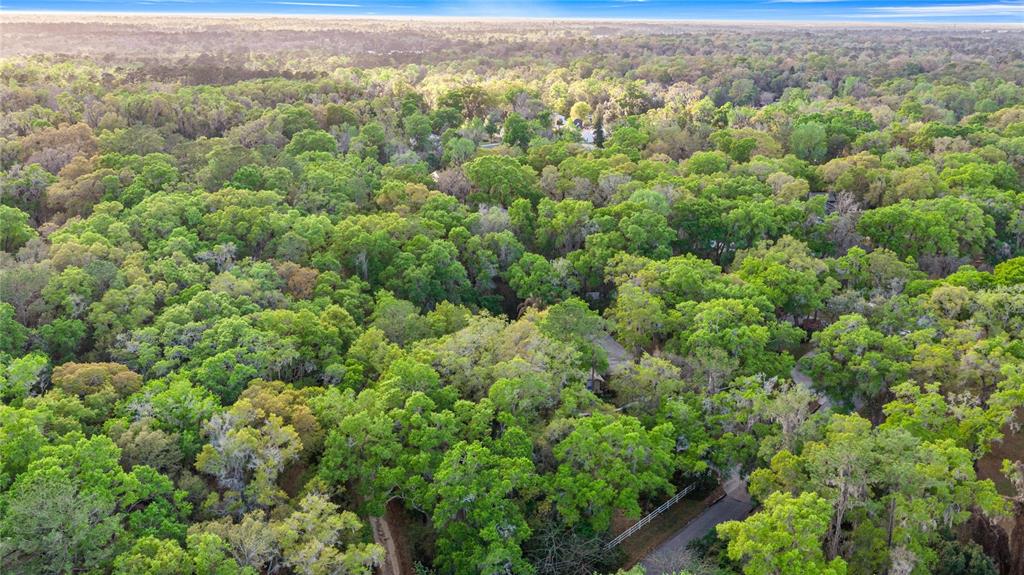 4280 Southeast 26th Terrace Road Ocala, FL 34480 - Photo 67 of 70 an aerial view of a houses with a lush green hillside