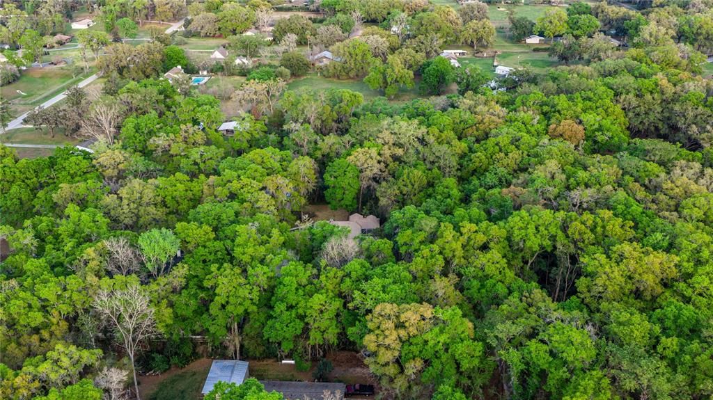 4280 Southeast 26th Terrace Road Ocala, FL 34480 - Photo 68 of 70 a view of a lush green forest