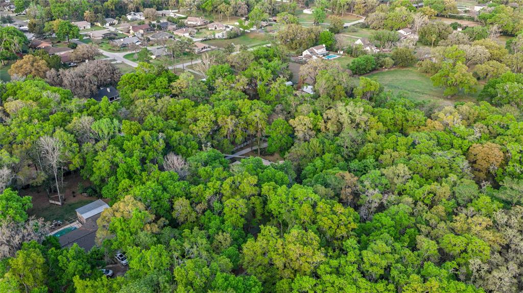 4280 Southeast 26th Terrace Road Ocala, FL 34480 - Photo 70 of 70 a view of a lush green forest with lots of trees