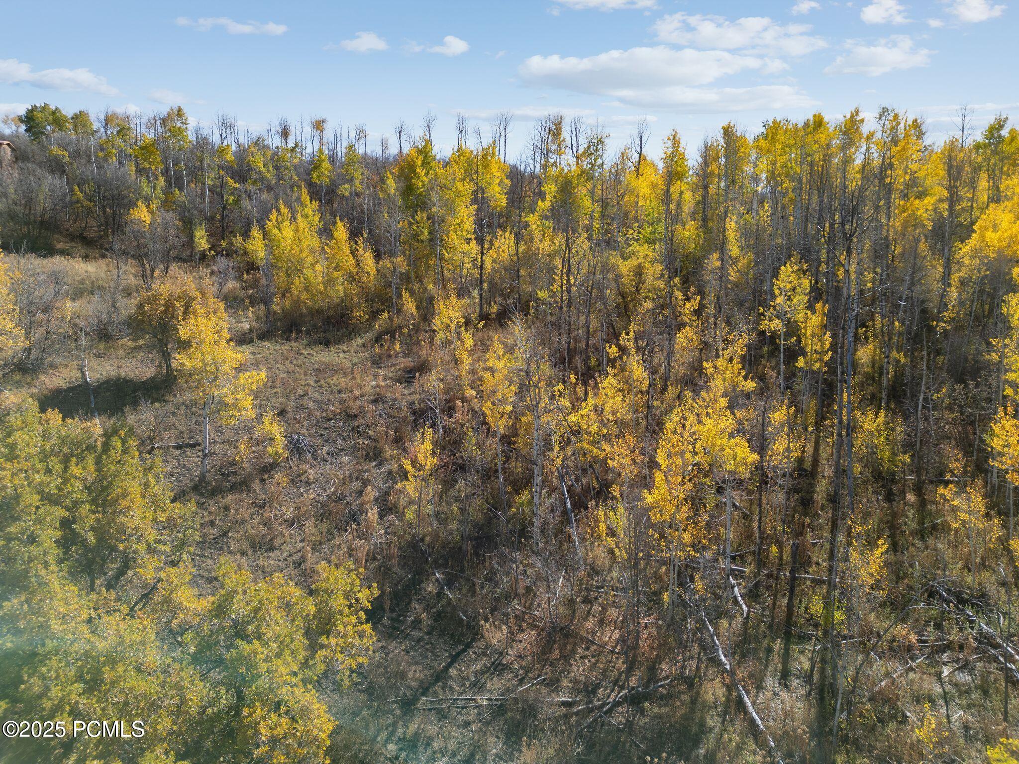 276 West Bear Tooth Ridge Coalville, UT 84017 - Photo 3 of 16