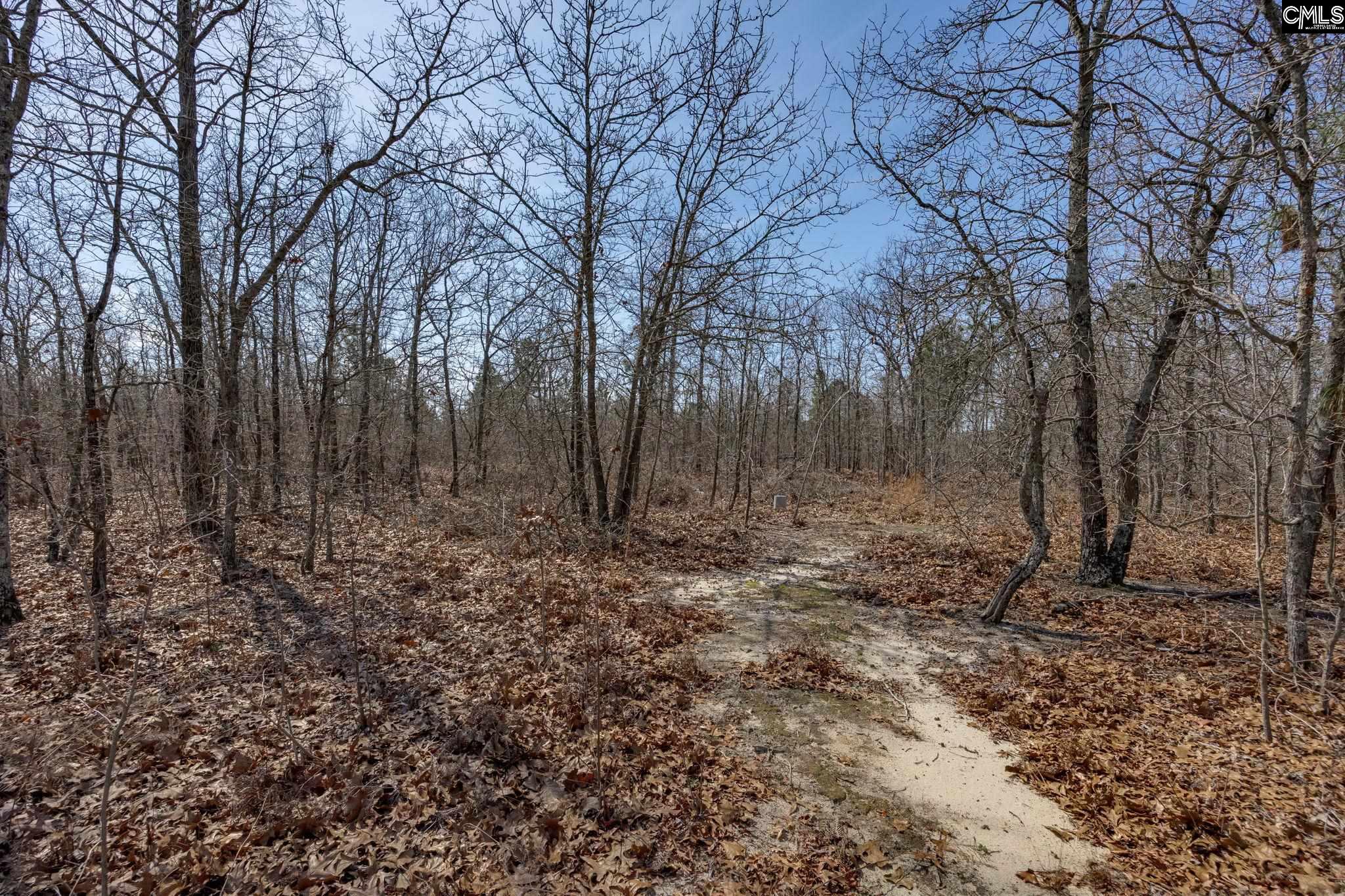 331 Freeman Drive Gaston, SC 29053 - Photo 36 of 37