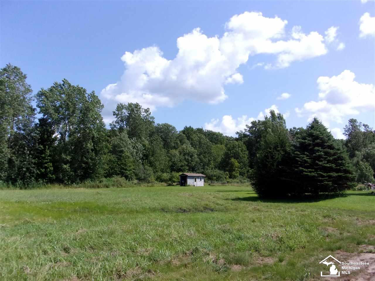 12555 Trost Road Dundee, MI 48131 - Photo 6 of 23