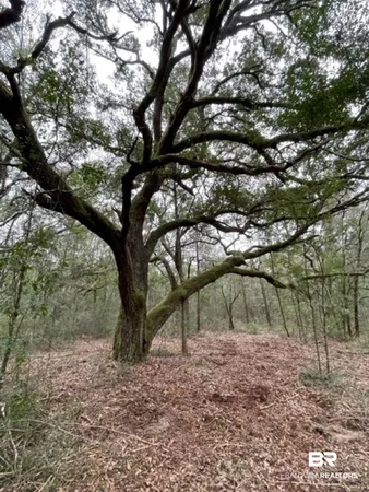 $282,000 | 9847 South County Road 99, Lillian, AL 36549