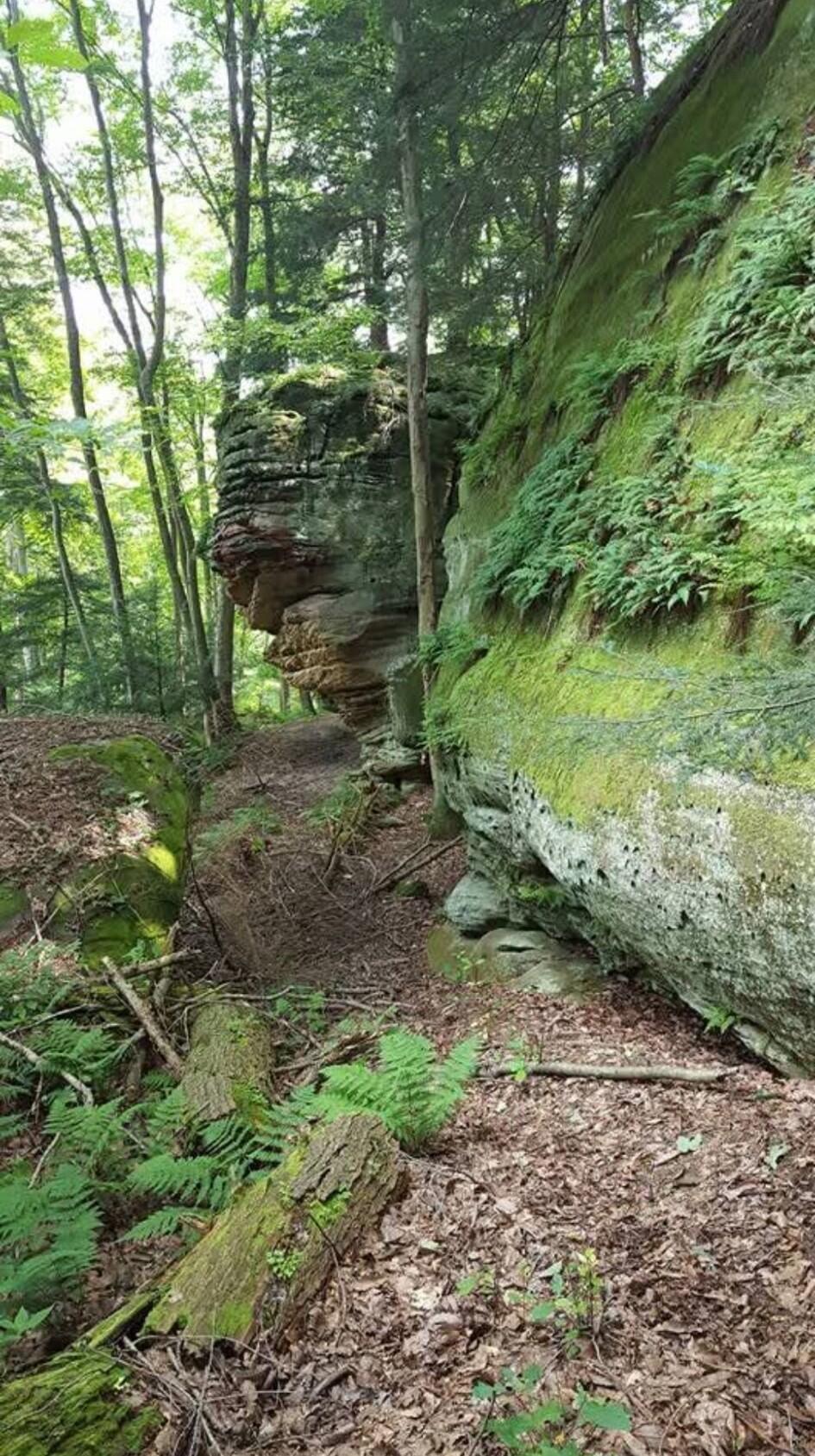 24138 Huffines Road Rockbridge, OH 43149 - Photo 3 of 74 8307889769433122153