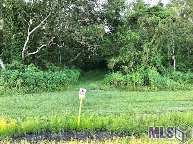 0 Park Patterson, LA 70392 - Photo 3 of 3