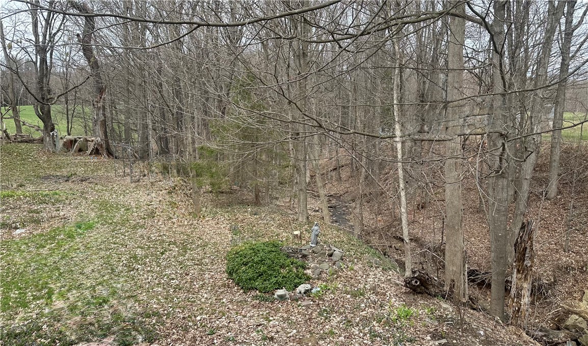 7583 State Street Oneonta, NY 13820 - Photo 3 of 5