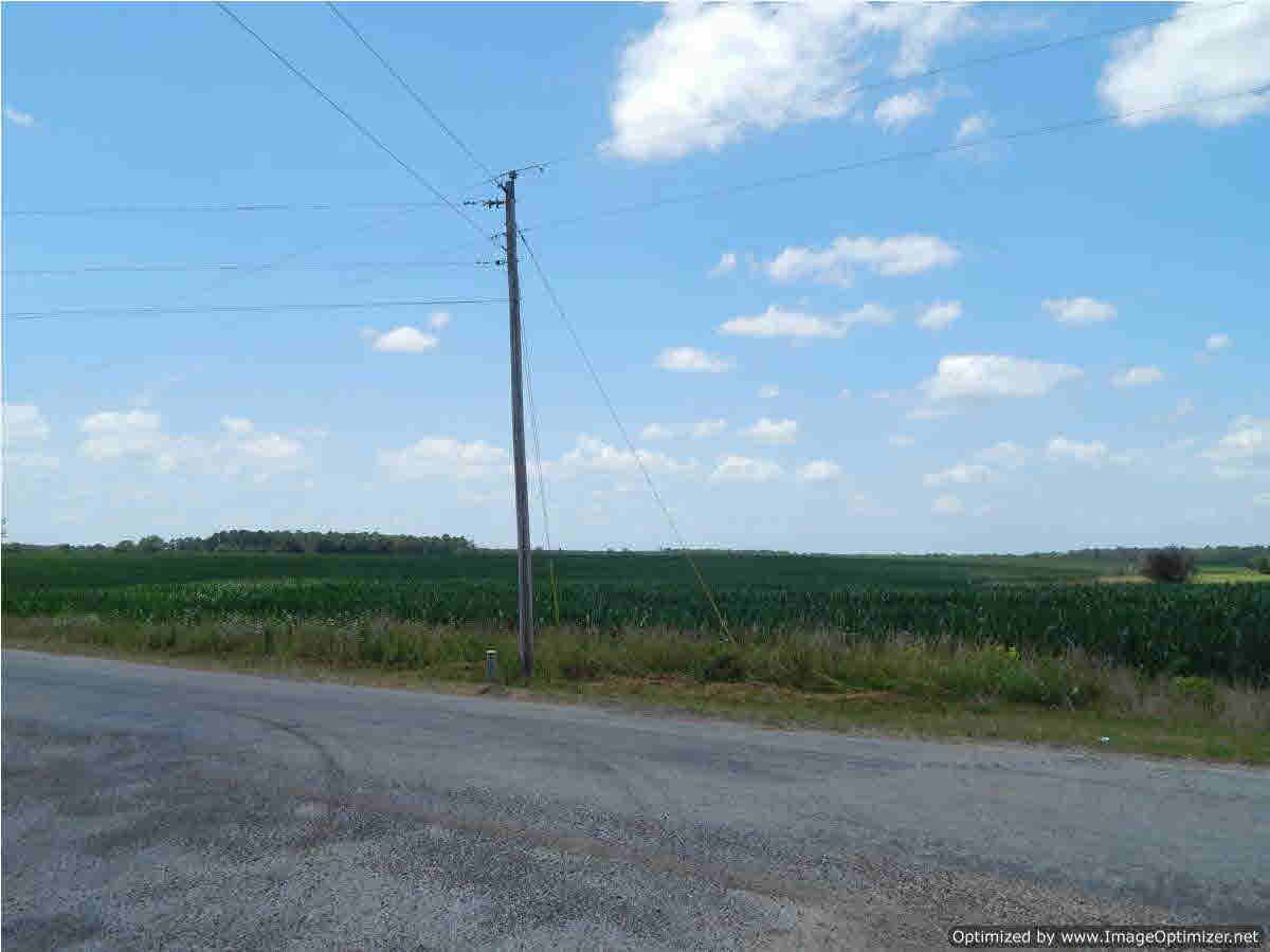 483 D Williams Road Morton, MS 39117 - Photo 3 of 9 Photo 3