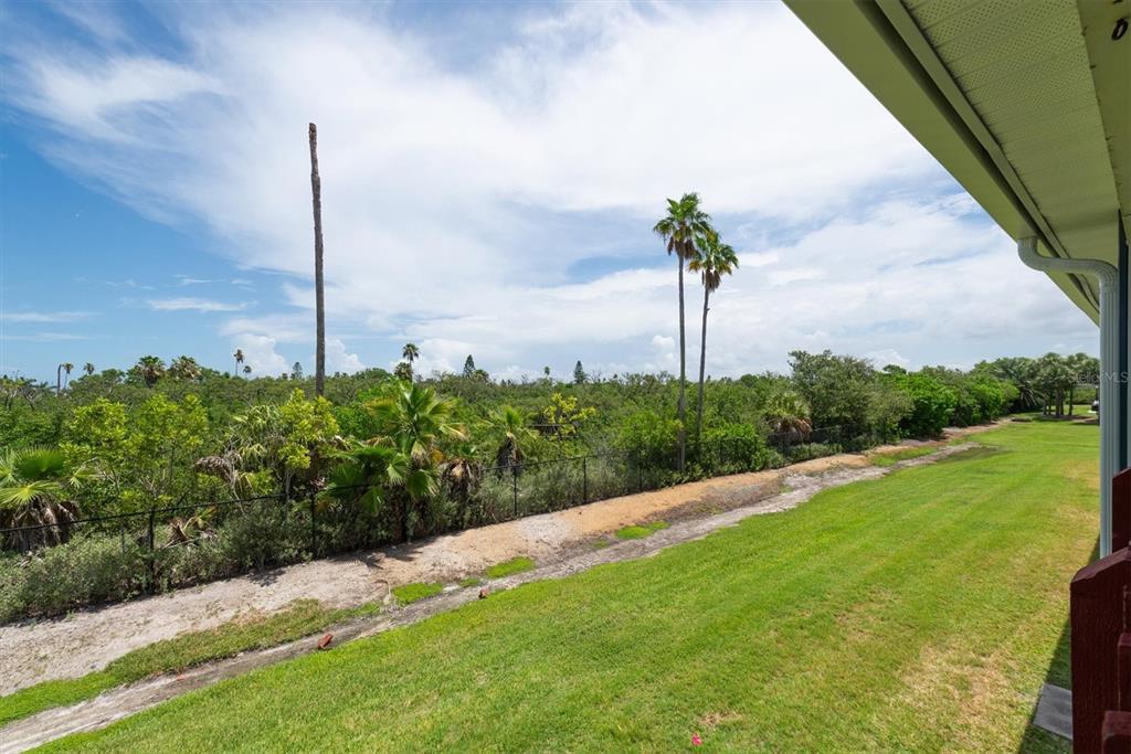 802 Hidden Harbour Drive Indian Rocks Beach, FL 33785 - Photo 49 of 61