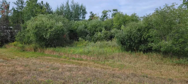 $499,000 | 0 Granite & Academy (county Ca), Tomah, WI 54660