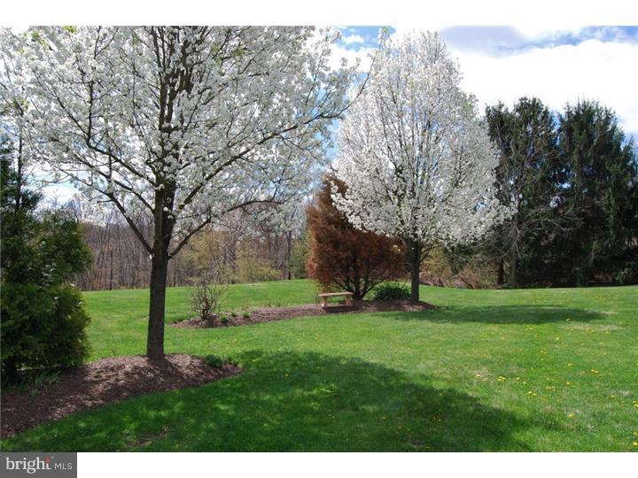 2065 West Rock Road Perkasie, PA 18944 - Photo 7 of 23 Gallery Image 7