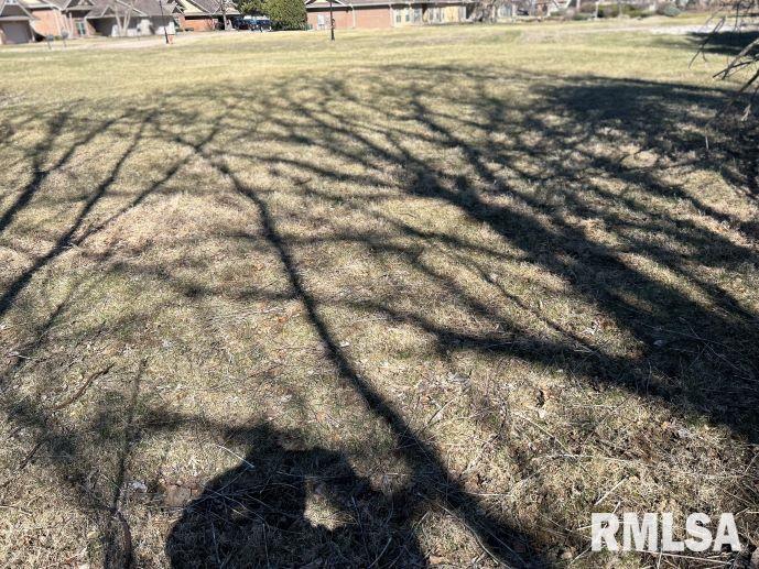 244 12th Avenue Moline, IL 61265 - Photo 5 of 9