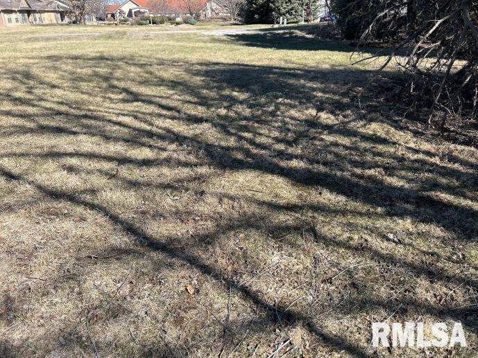 244 12th Avenue Moline, IL 61265 - Photo 6 of 9