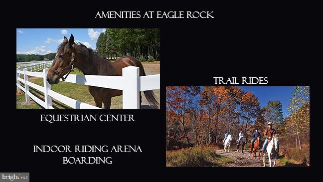 139 Summit Road Hazleton, PA 18202 - Photo 36 of 42 Amenities at Eagle Rock Resort