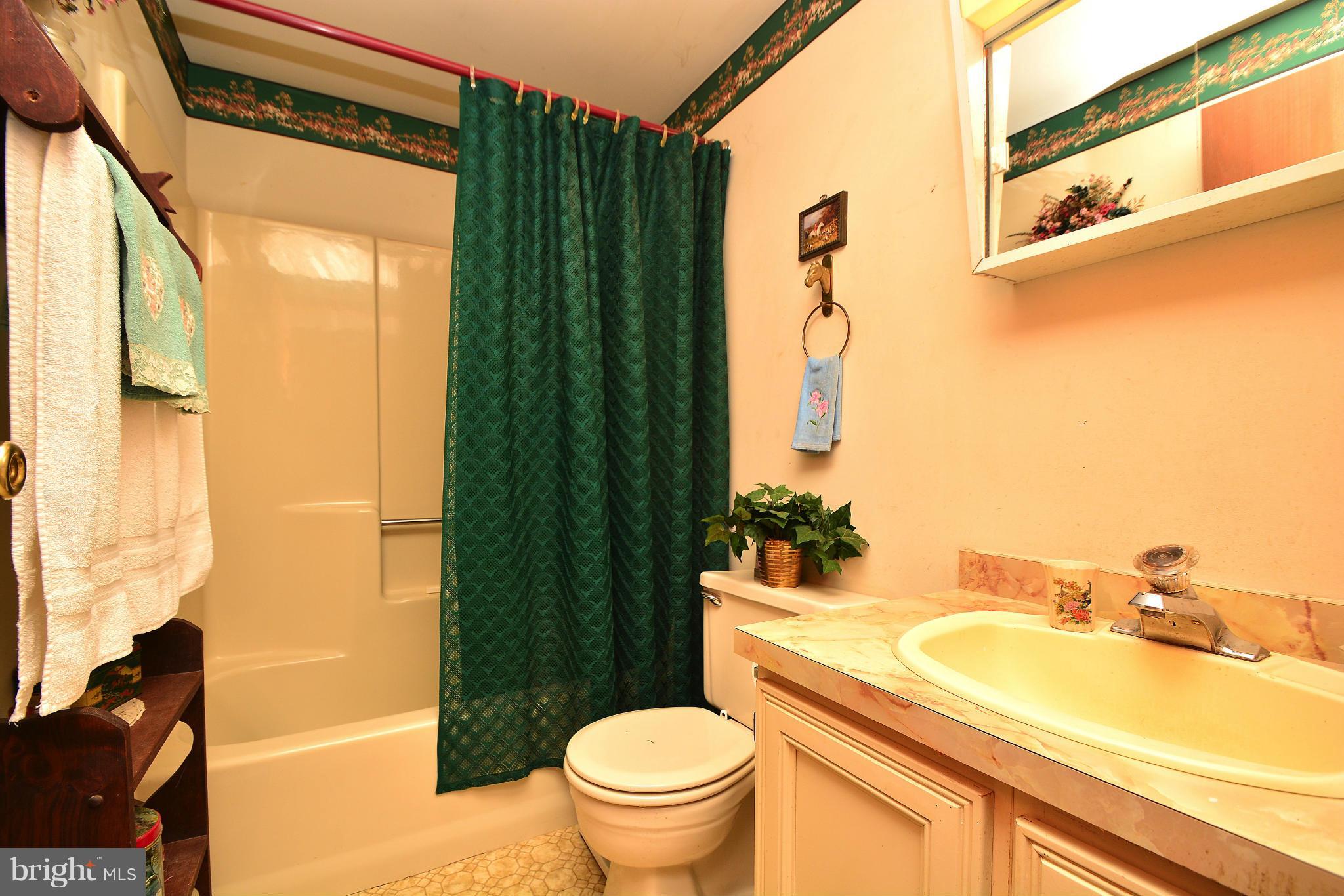2509 Castleton Road Darlington, MD 21034 - Photo 10 of 30 Bath