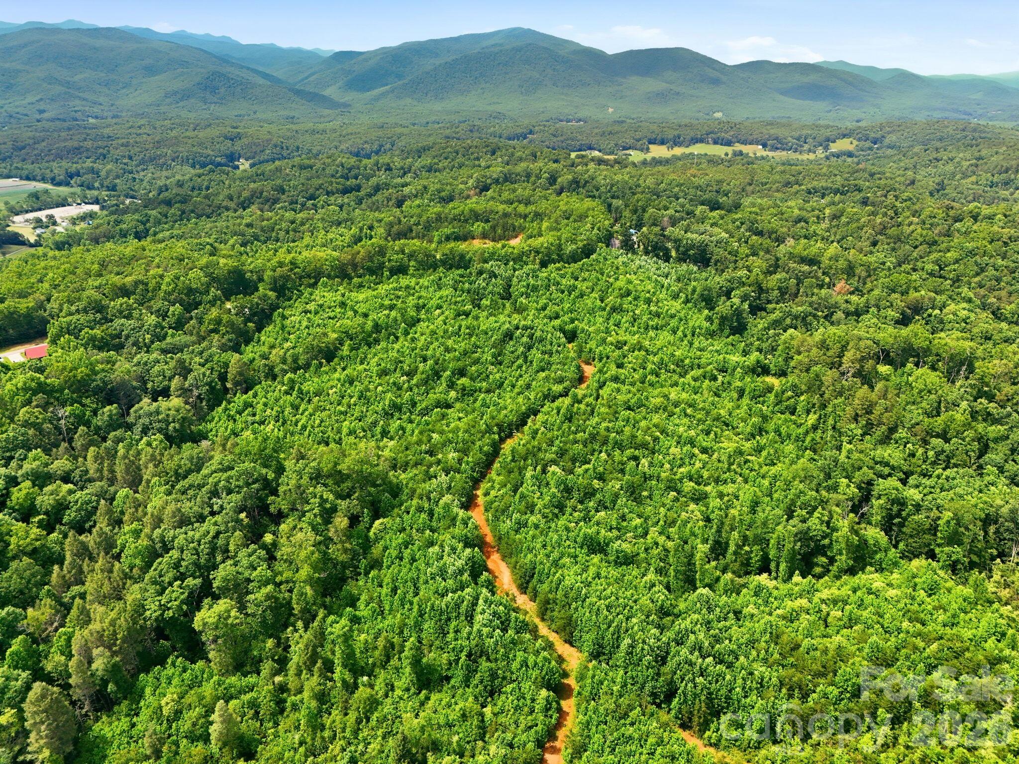 2301 Parker Padgett Road Old Fort, NC 28762 - Photo 10 of 17