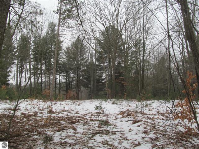 8620 South 37 Road Cadillac, MI 49601 - Photo 12 of 29 12